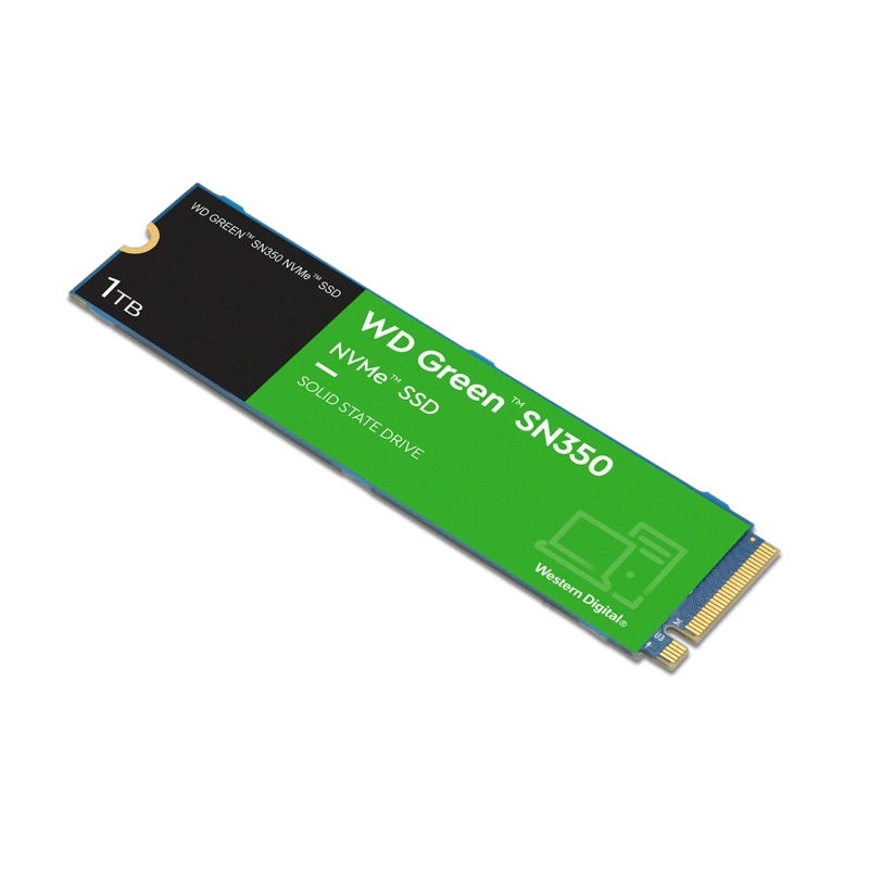 WDS100T3G0C-3